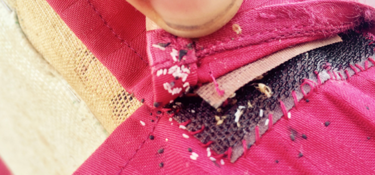 Bedbug Treatments Oswestry